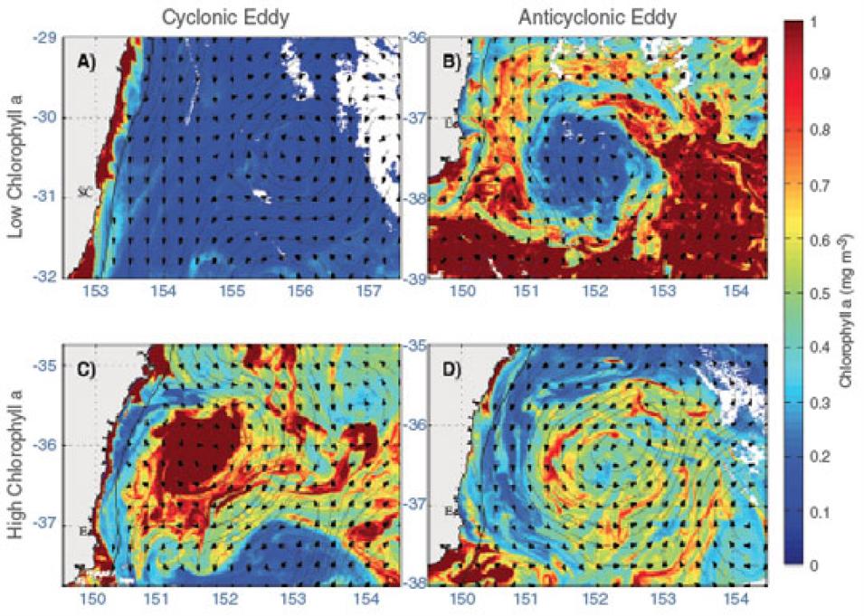 Data image showing cyclonic and anticyclonic eddies in Eddy Avenue