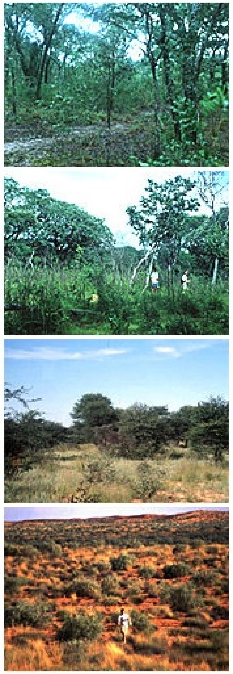 Kalahari sands Botswana