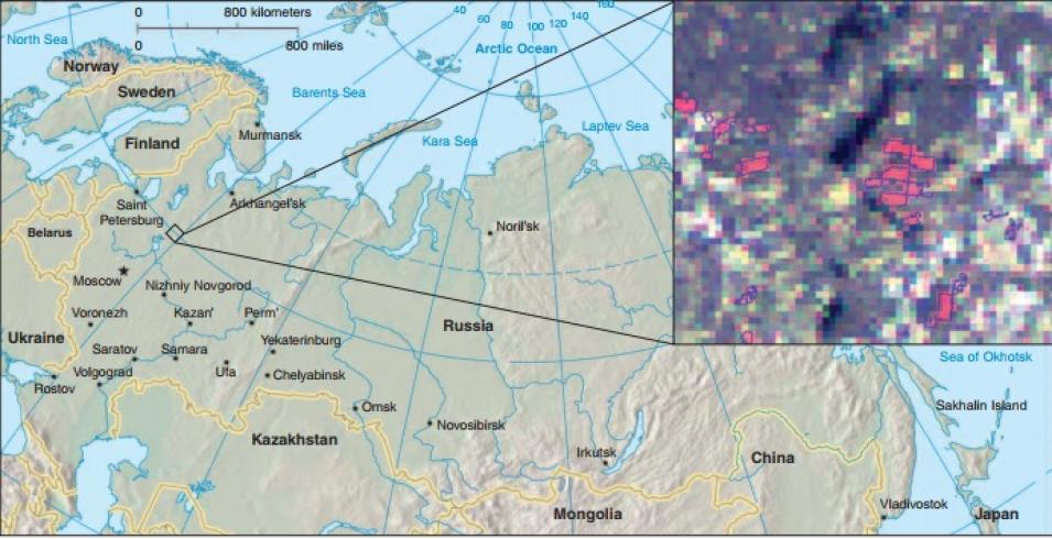 MODIS clear cut Karelia