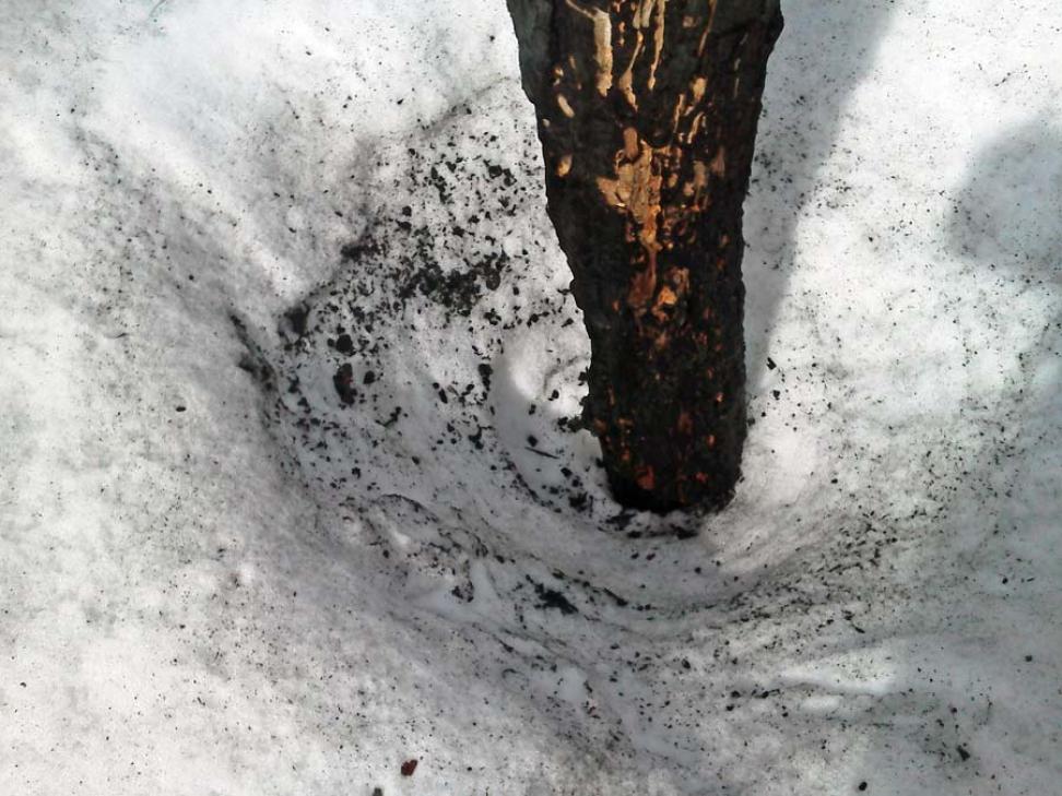 Burned But Not Forgotten | NASA Earthdata