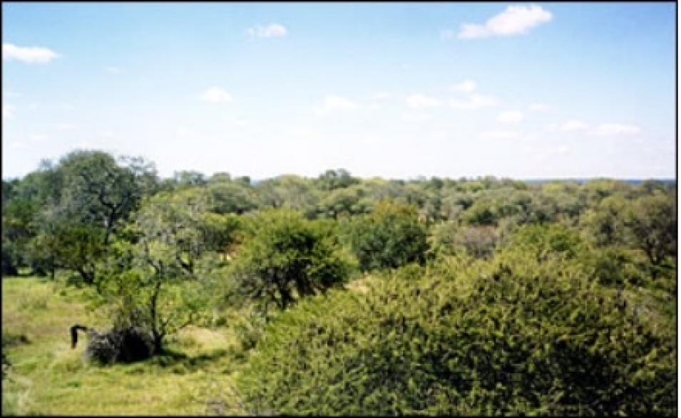 Kruger National Park