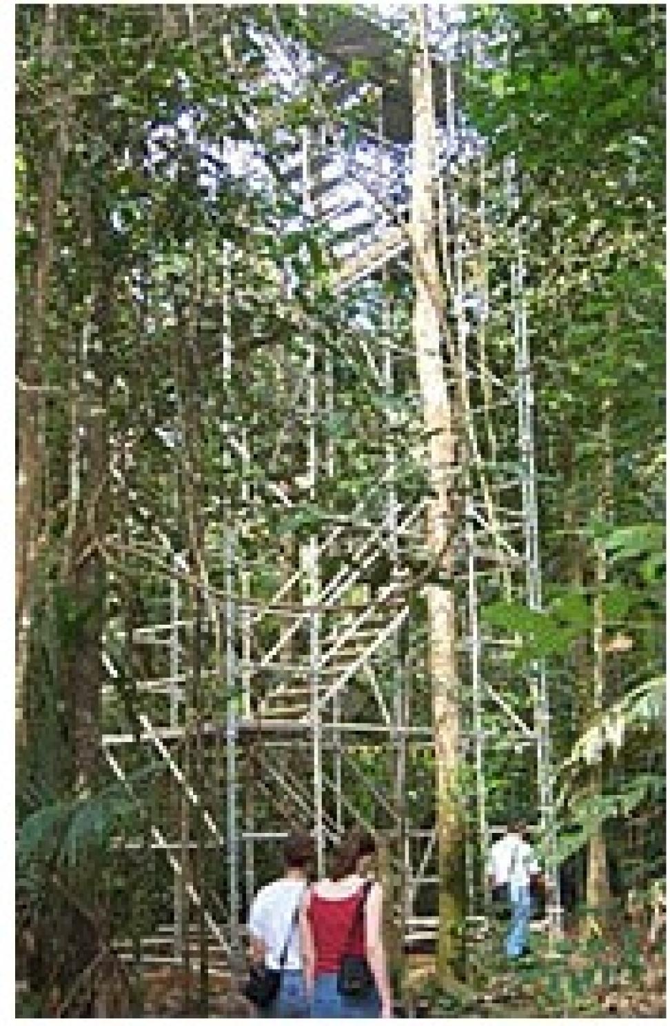 walk-up canopy tower