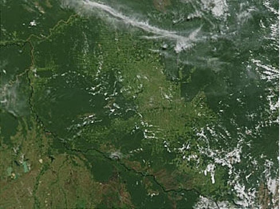 true color MODIS deforestation