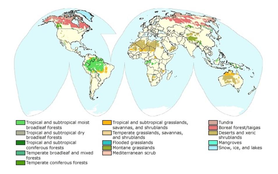 biome wild areas