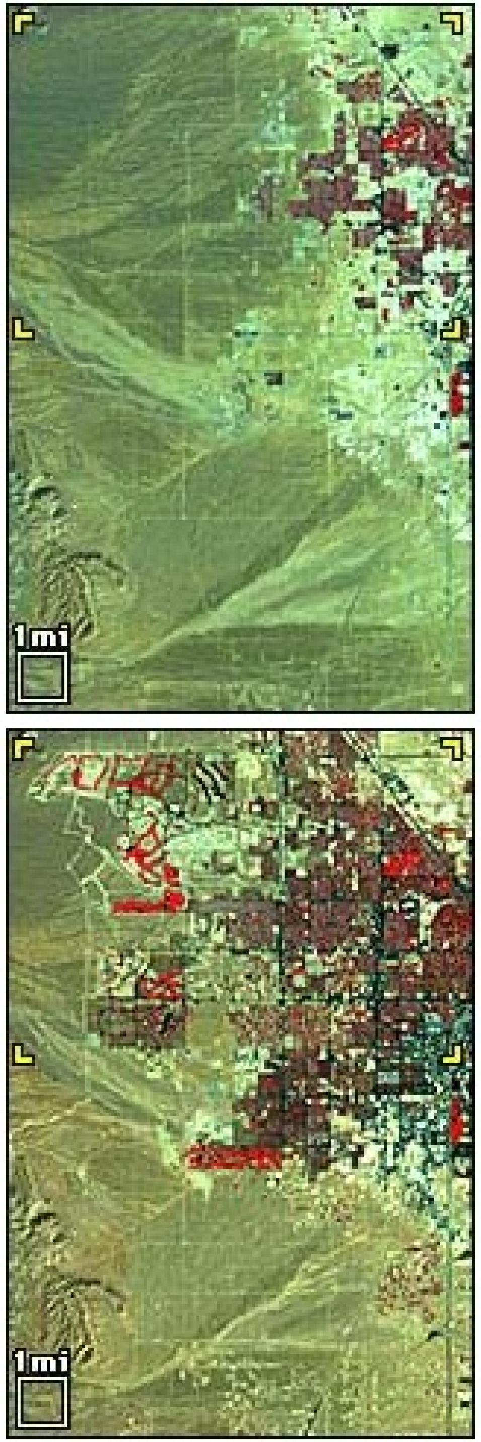 Landsat Las Vegas growth