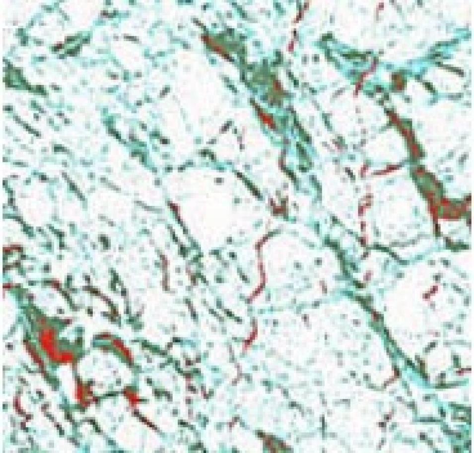 ice classification winter sea ice