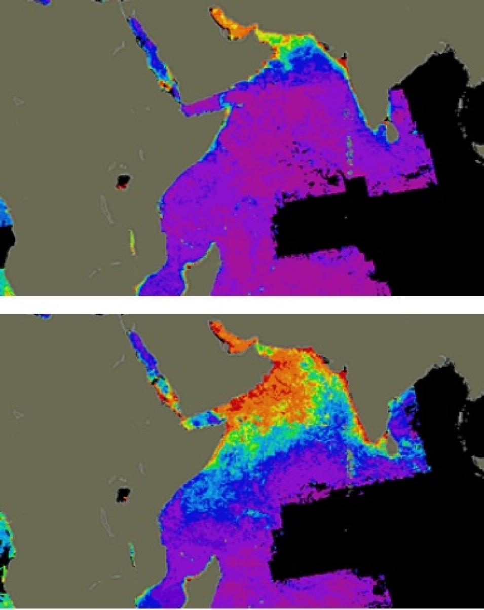 CZCS Arabian Sea composite