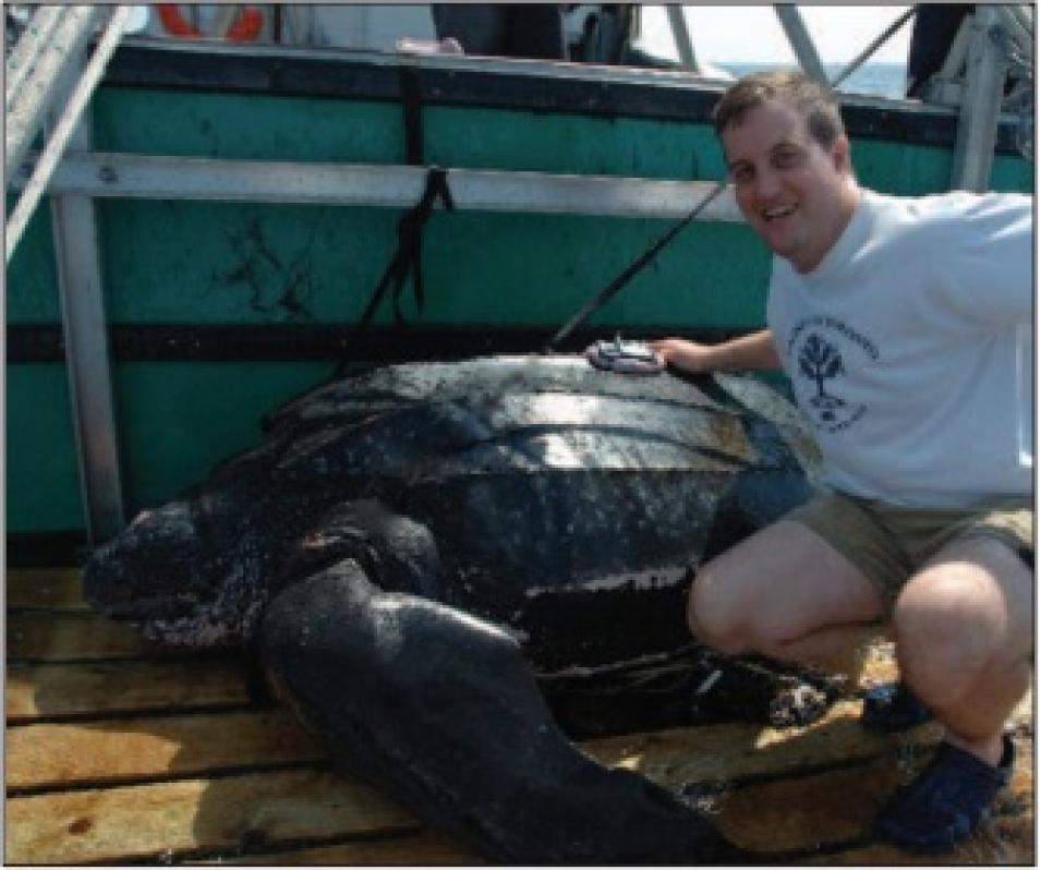 leatherback tracking