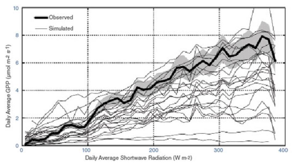 Data graph showing simulated and observed photosynthesis