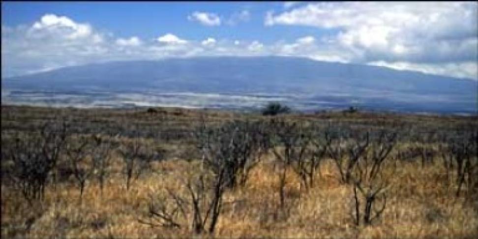 Mauna Kea