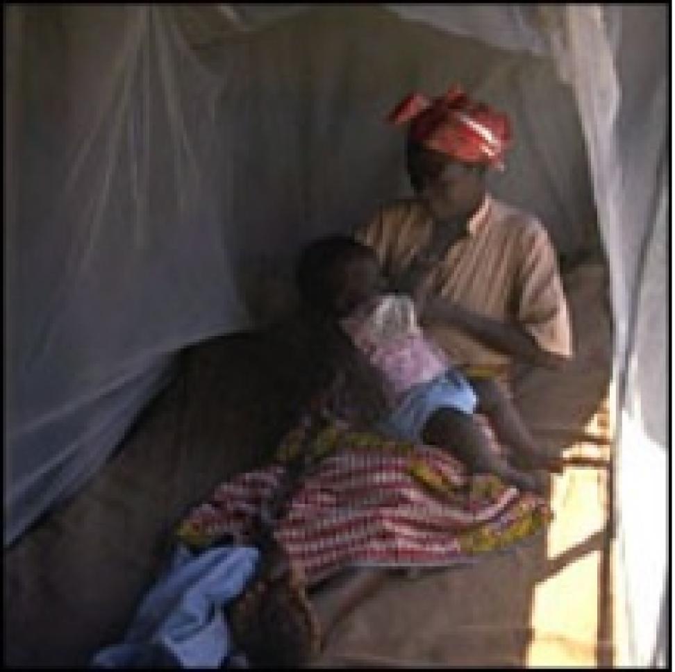 Zambia bed net