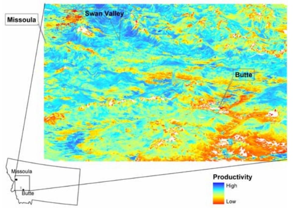 MODIS productivity data