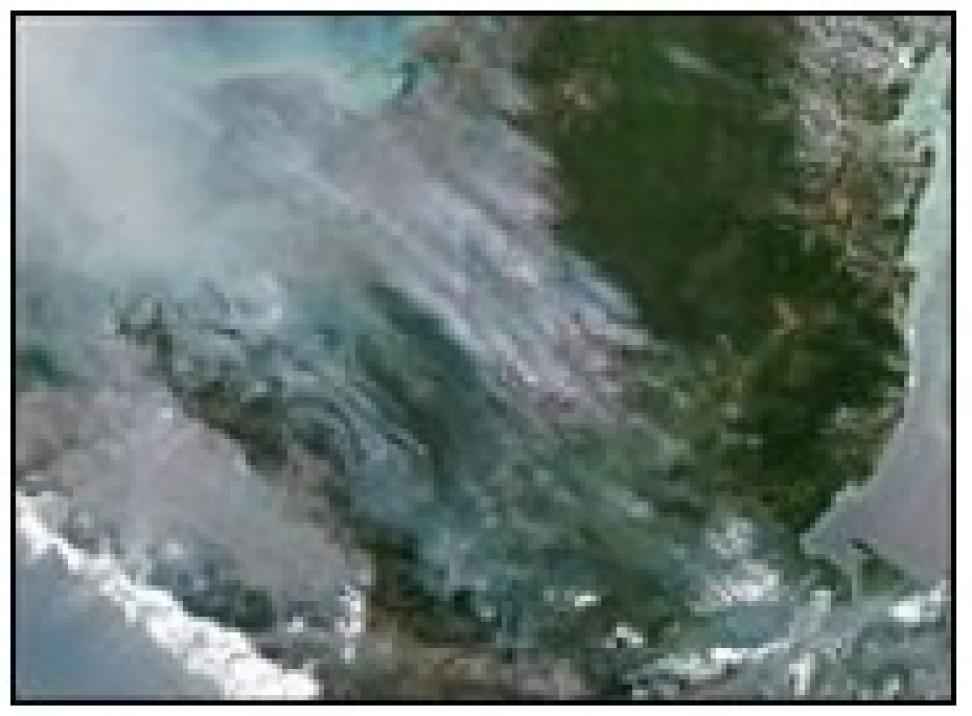 Yucatan Peninsula wildfires