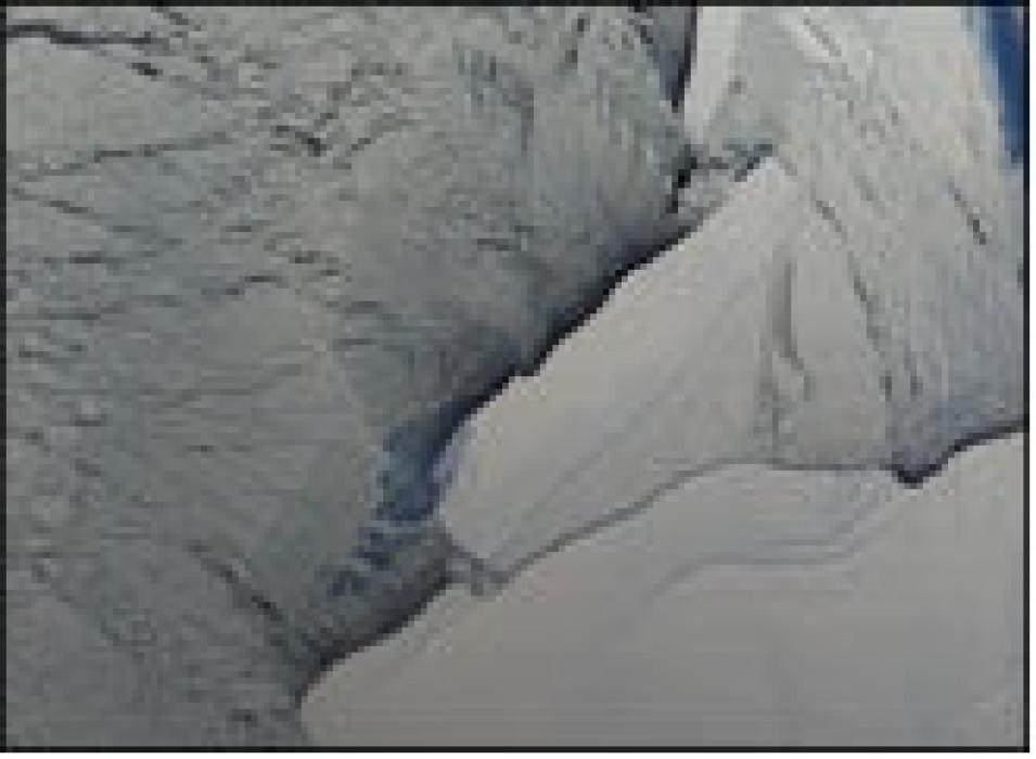 icebergs Ross Ice Shelf