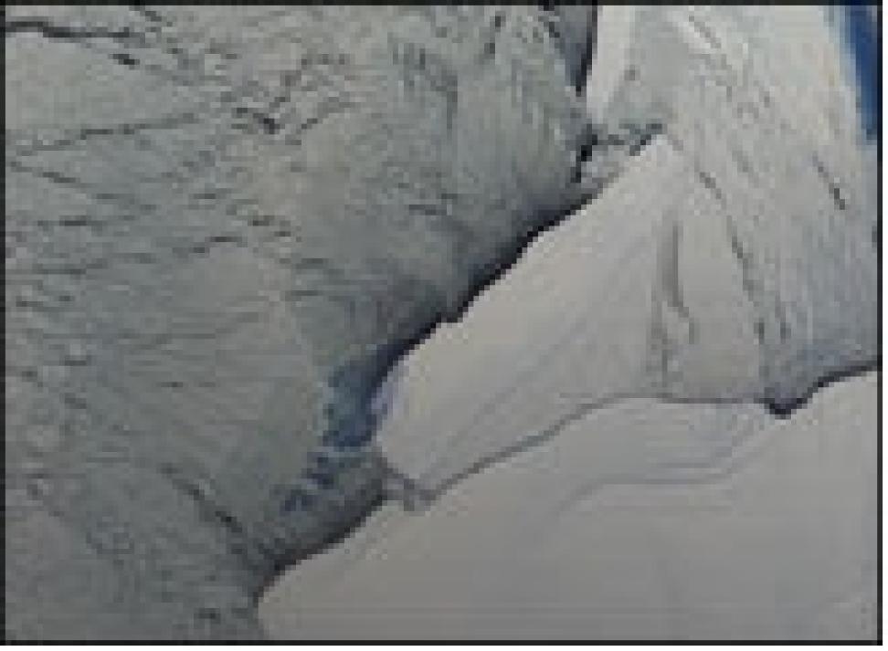 icebergs Ross Ice Shelf
