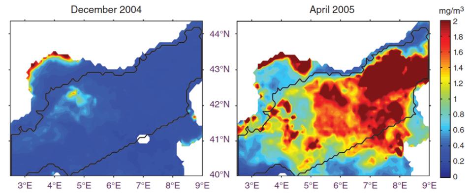 Graphs showing chlorophyll differences between December 2004 and April 2005
