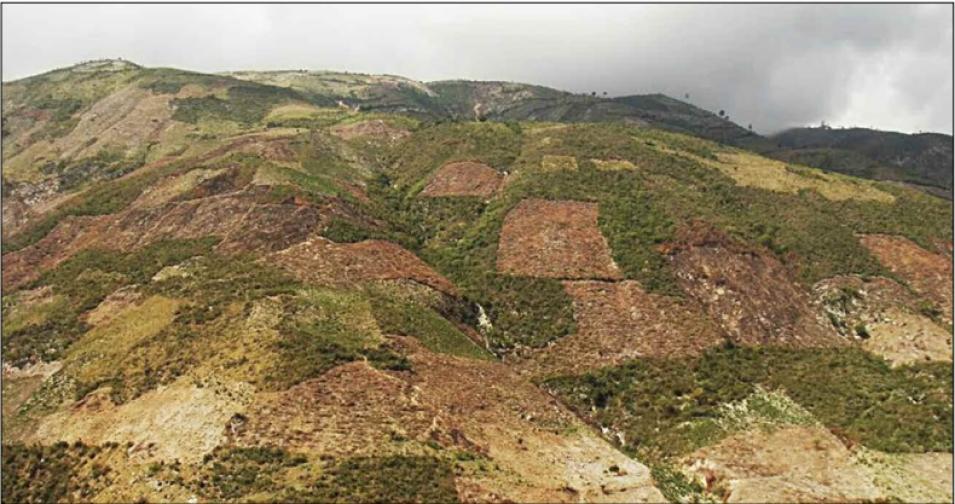 Cleared hillside