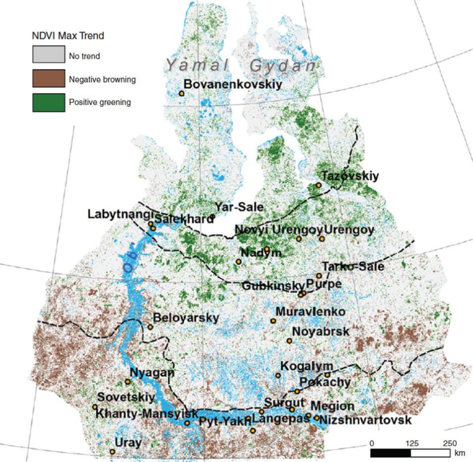 Map illustrating vegetation trends across West Siberia