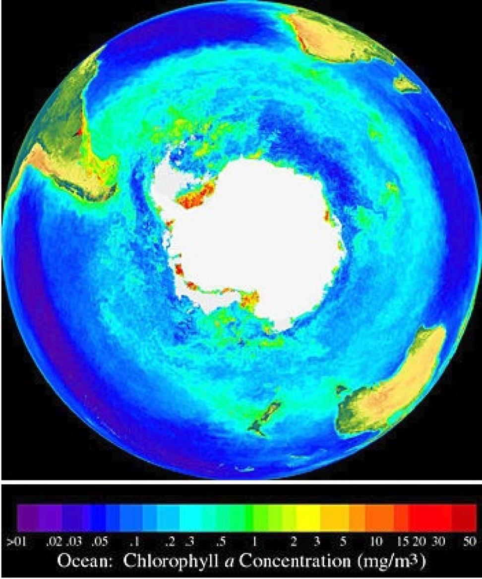 SeaWiFS Southern Hemisphere