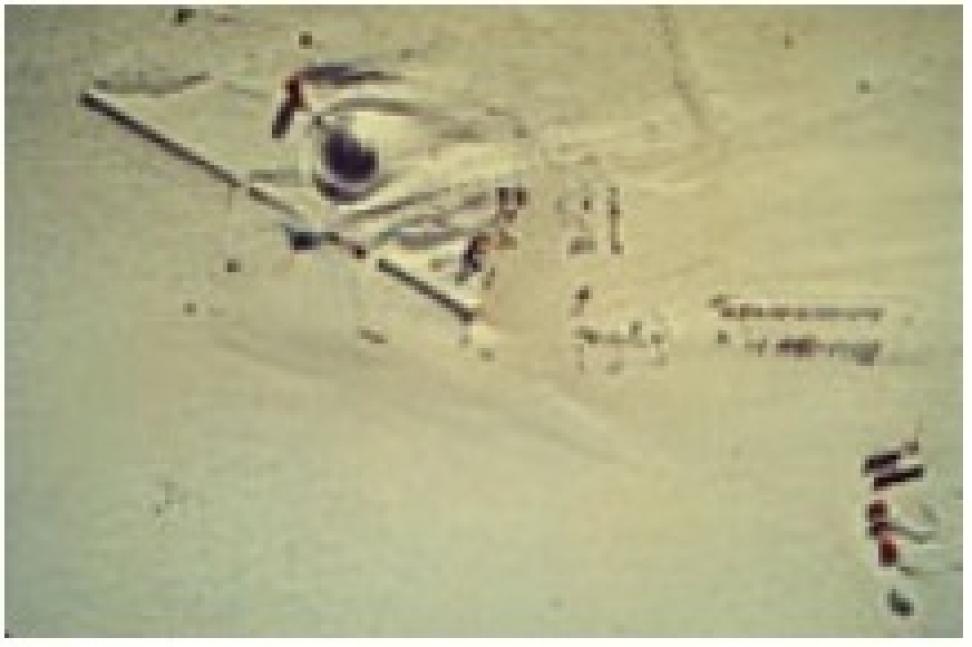 location of forgotten skiway