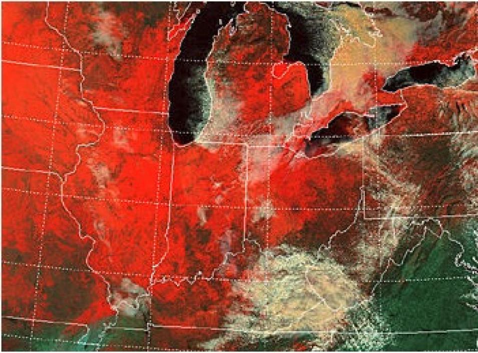 false color MODIS snow cover