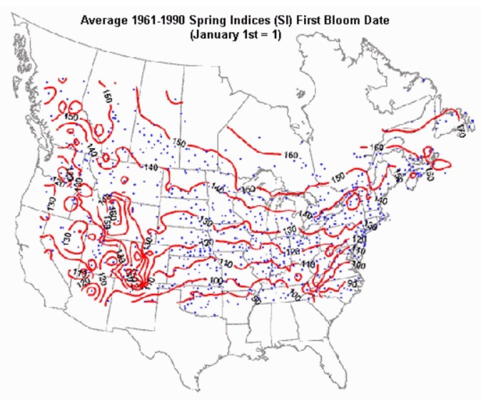 Average Spring Indices