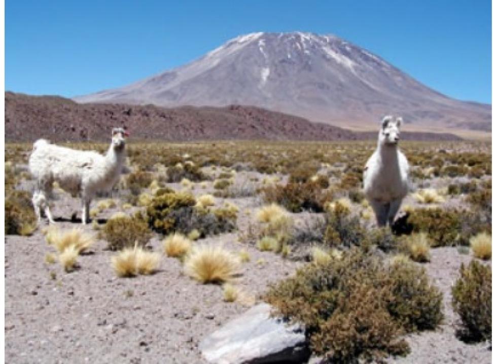 Lascar volcano