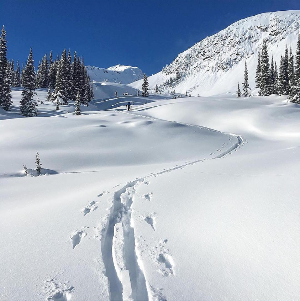 Trail made through snow by someone walking.