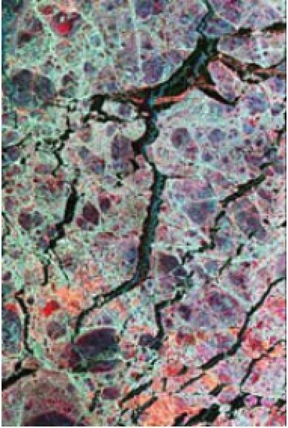 seasonal sea ice cover Weddell Sea