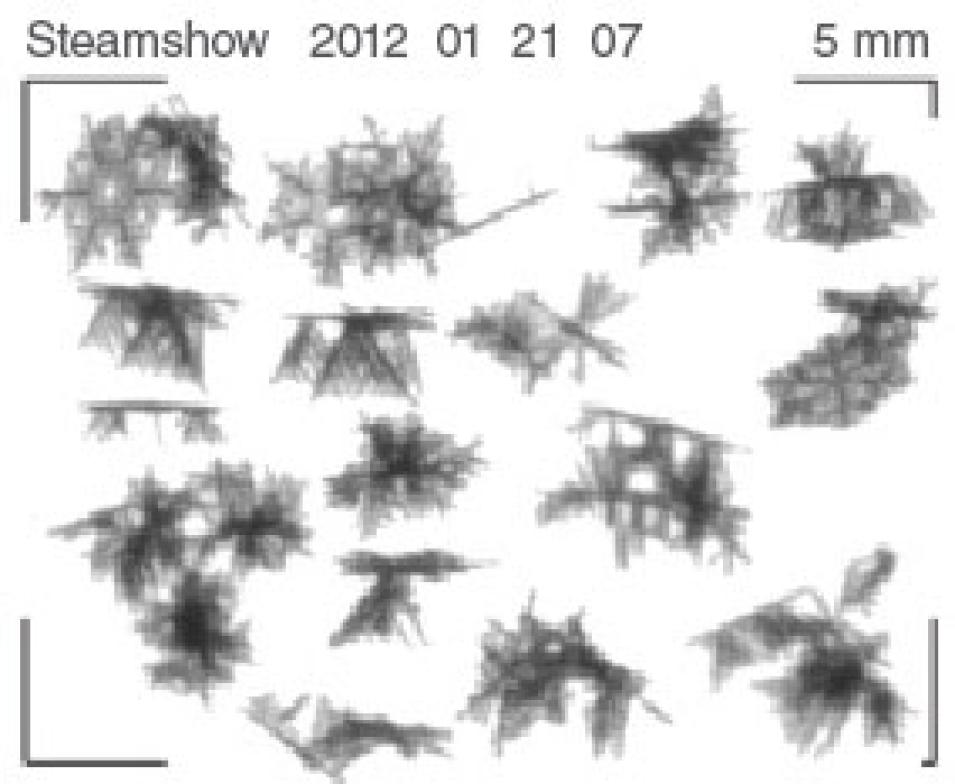 Magnified data image of falling snowflakes