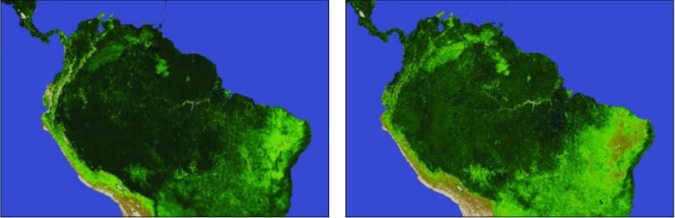 MODIS NDVI