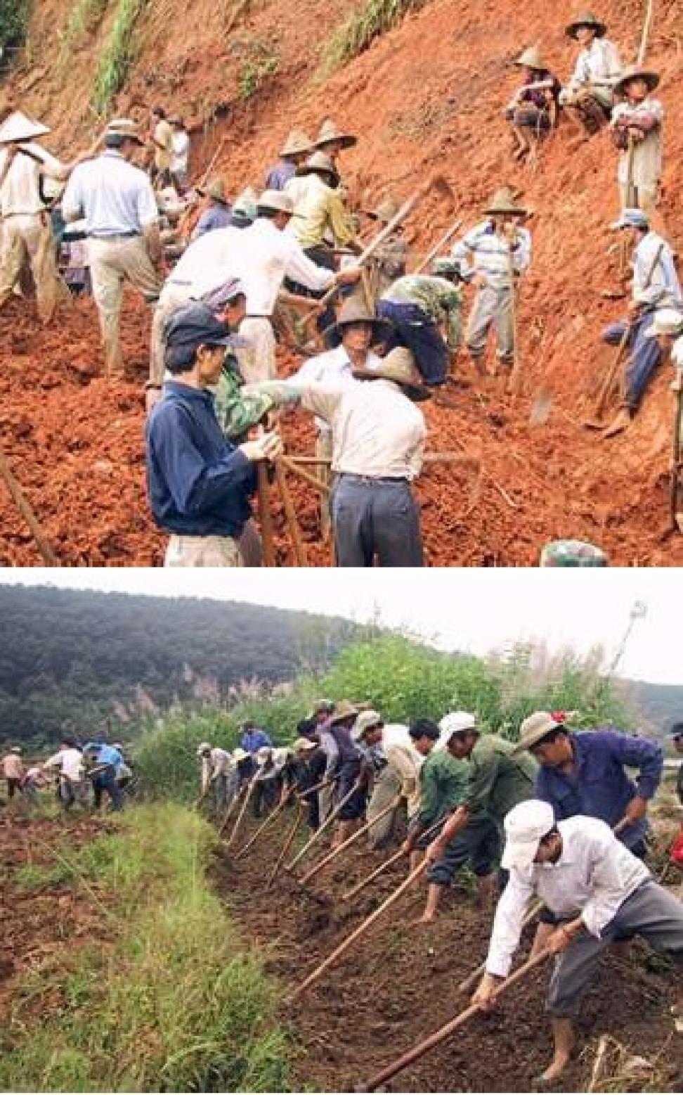 Tai Lue farmers
