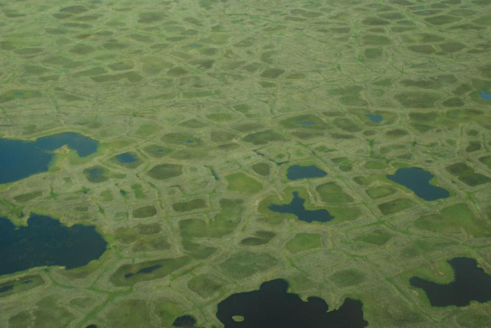 Aerial photograph of ice wedge polygons in the Artic trundra