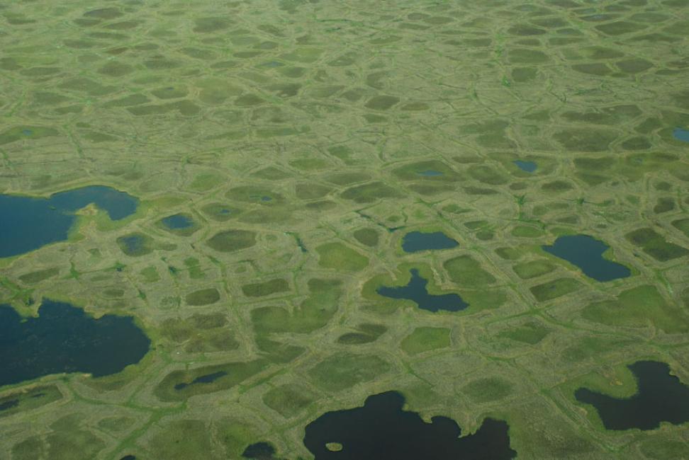 Aerial photograph of ice wedge polygons in the Artic trundra