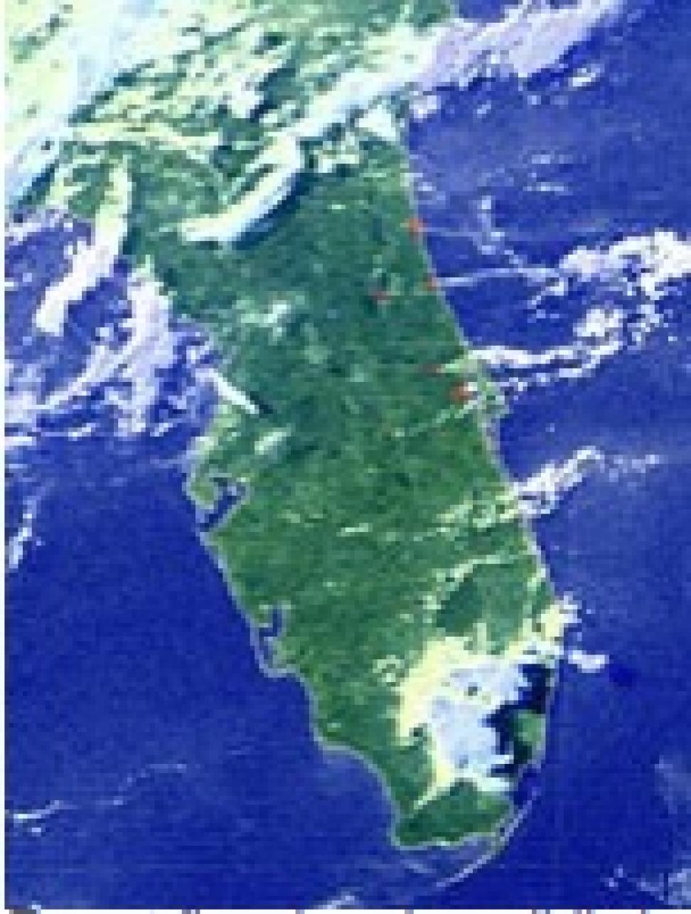 MODIS forest fires