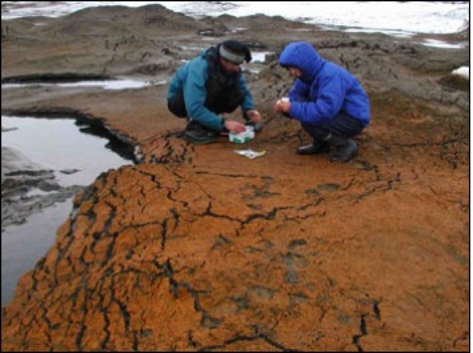 Markham Ice Shelf microbial mat