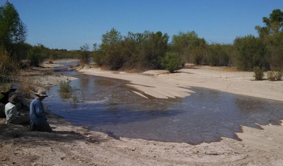 Photograph of scientists tracking the return of the Colorado River