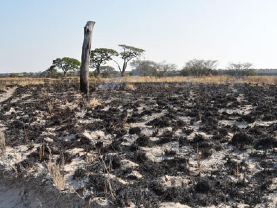 Photograph of the Makgadikgadi Pan