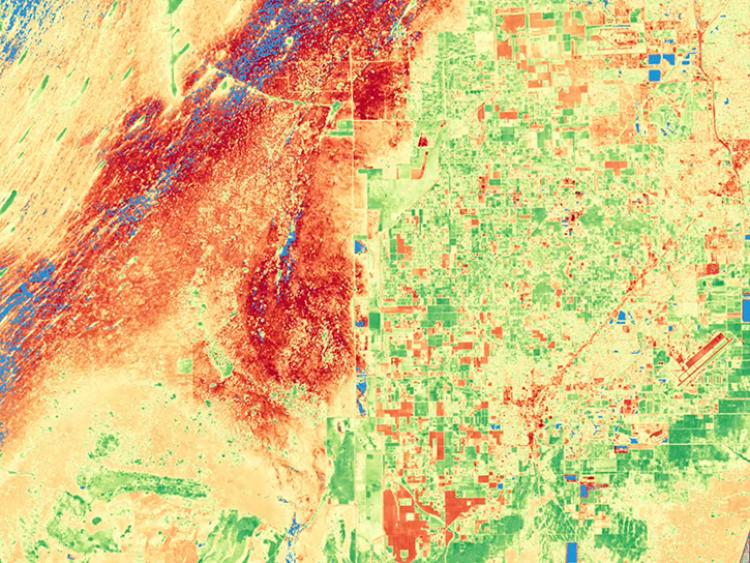 This image combines NDVI data from the Landsat 8 and Sentinel-2 satellites to show the health of vegetation in South Florida. The area on the left is primarily red and represents bare soil. The right side of the image is mostly green and indicates healthy, growing vegetation.