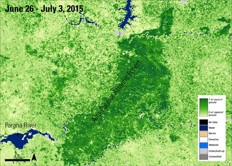 Combined MODIS LAI Version 5 data over Alto Parana Atlantic Forest, Argentina with labels.
