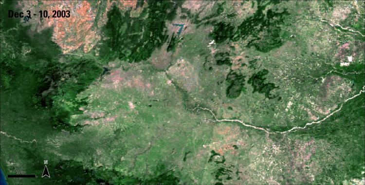 Terra MODIS Surface Reflectance of Tamil Nadu, India, acquired between December 3 and 10, 2003.