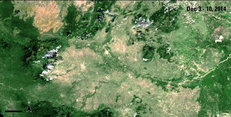 Terra MODIS Surface Reflectance of Tamil Nadu, India, acquired between December 3 and 10, 2014.