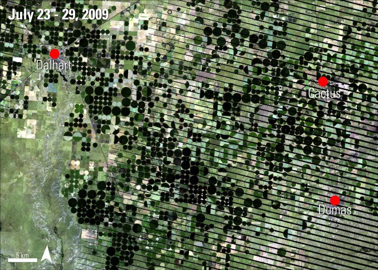 CONUS weekly WELD (WELDUSWK) image from 2009