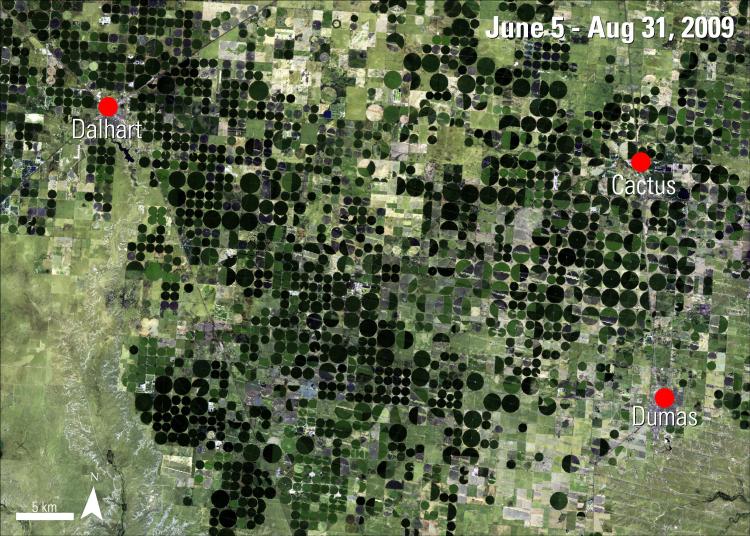 CONUS seasonal WELD (WELDUSSE) data product during summer 2009