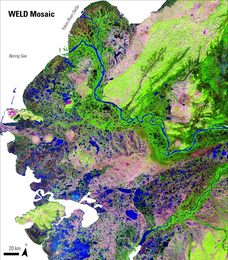 WELD Mosaic False Color composite image of Yukon-Kuskokwim, Alaska .