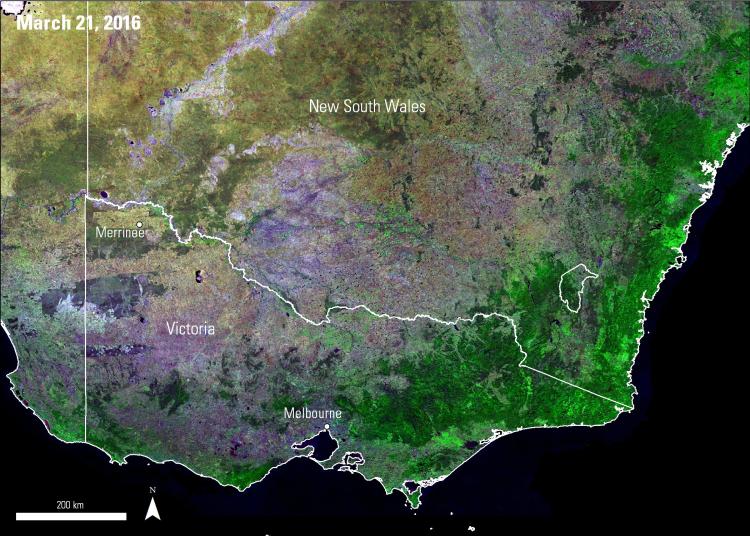 Composite of the isometric parameter from BRDF/Albedo Parameters from the MCD43A1 data product, used to understand vegetation cover.