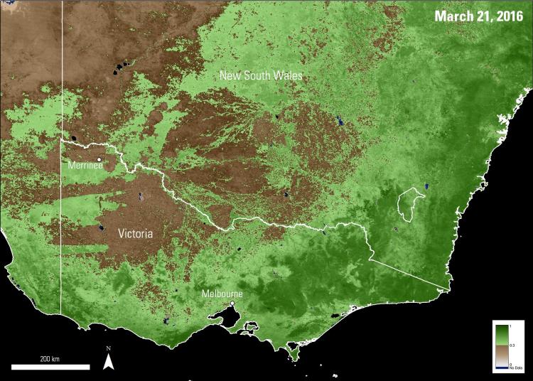 MODIS NDVI from the MOD13A1 data product, where high data values (shades of green) indicate areas with healthier, greener vegetation. 