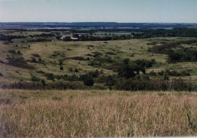 A Kansas landscape of wheat and hills.