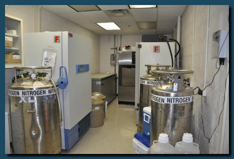 NASA’s Ocean Ecology Lab is equipped with many instruments to enable sample storage.