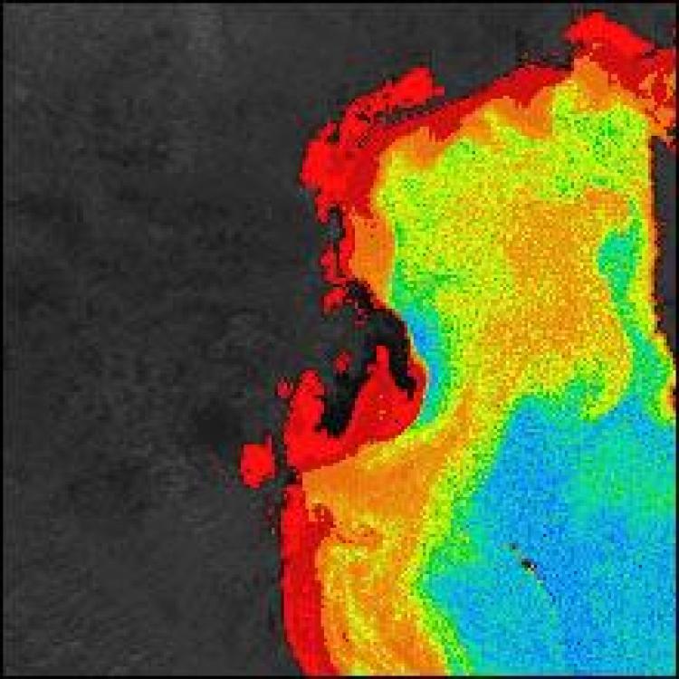 CZCS image of Venice and the Po River sediment plume.